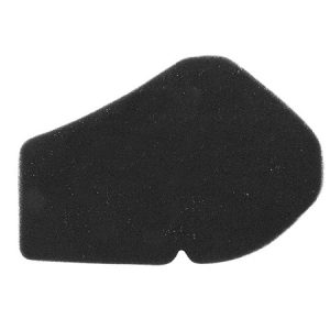 Filtro de aire Suzuki Burgman 125/200